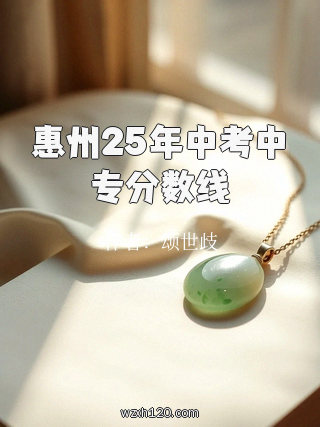 惠州25年中考中专分数线