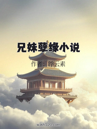 兄妹孽缘小说