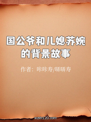 国公爷和儿媳苏婉的背景故事