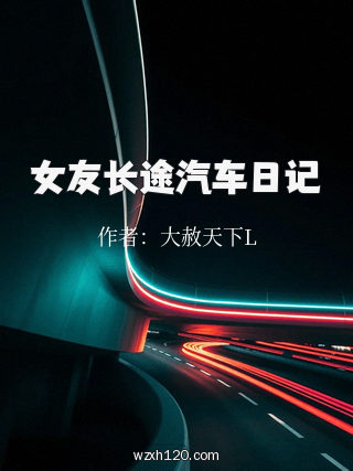 女友长途汽车日记