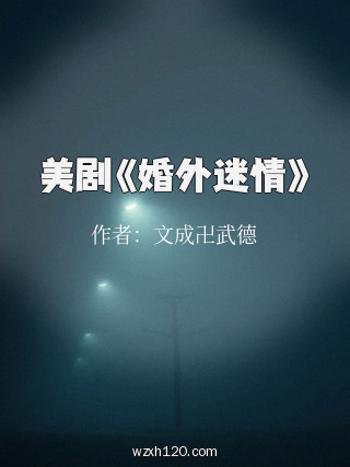 美剧《婚外迷情》