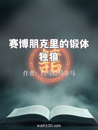 赛博朋克里的锻体独狼