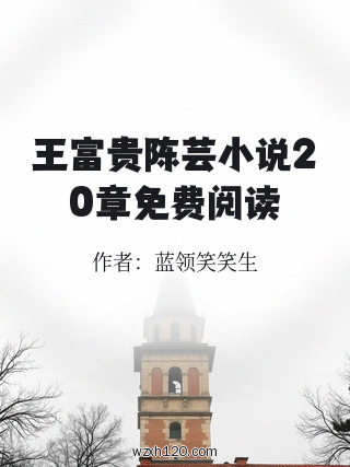 王富贵陈芸小说20章免费阅读