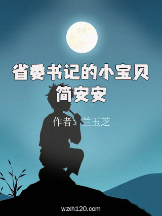 省委书记的小宝贝简安安