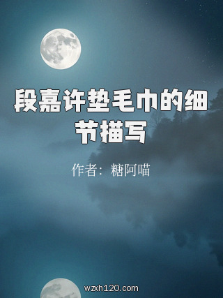 段嘉许垫毛巾的细节描写