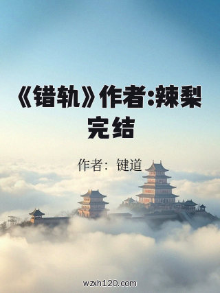 《错轨》作者:辣梨完结