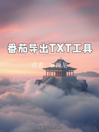 番茄导出TXT工具