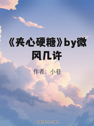 《夹心硬糖》by微风几许