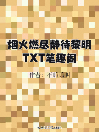 烟火燃尽静待黎明TXT笔趣阁