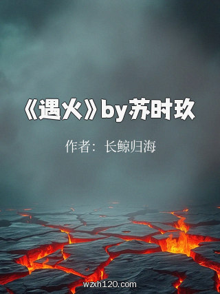 《遇火》by苏时玖