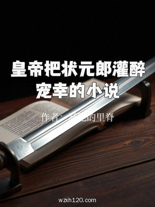 皇帝把状元郎灌醉宠幸的小说