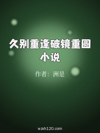 久别重逢破镜重圆小说