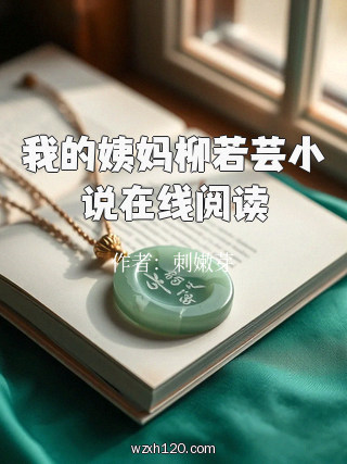 我的姨妈柳若芸小说在线阅读