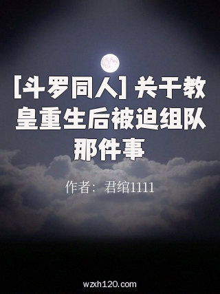 [斗罗同人] 关于教皇重生后被迫组队那件事