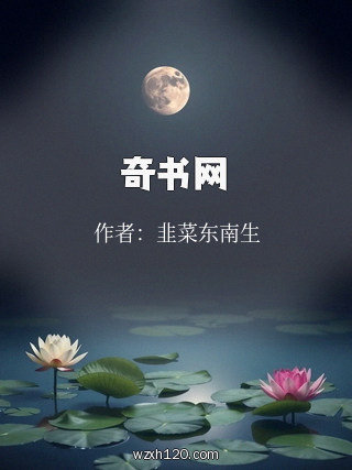 奇书网