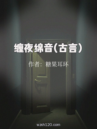 缠夜绵音(古言)