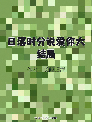 日落时分说爱你大结局