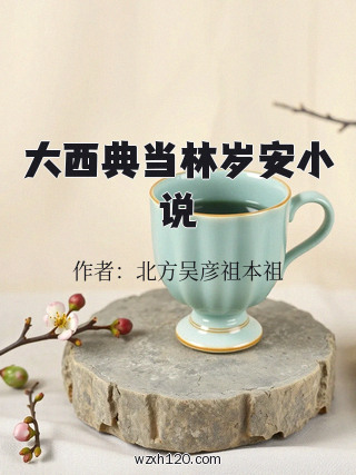 大西典当林岁安小说
