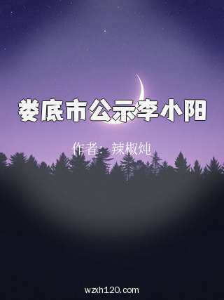 娄底市公示李小阳
