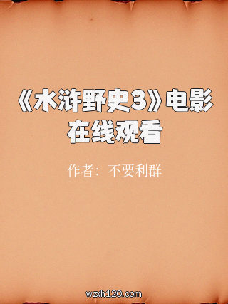 《水浒野史3》电影在线观看