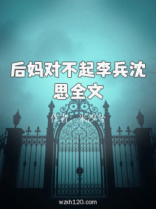 后妈对不起李兵沈思全文