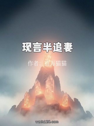 现言半追妻