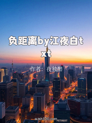 负距离by江夜白txt