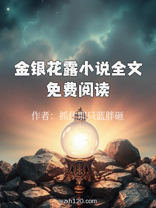 金银花露小说全文免费阅读
