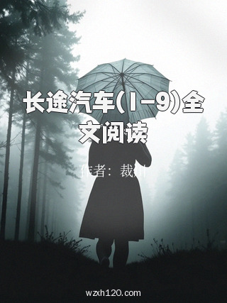 长途汽车(1-9)全文阅读