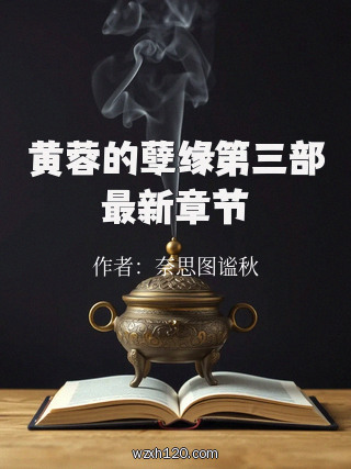 黄蓉的孽缘第三部最新章节