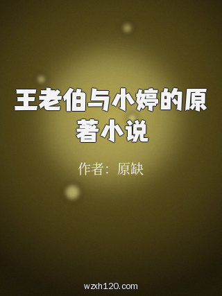 王老伯与小婷的原著小说