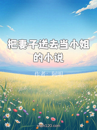 把妻子送去当小姐的小说