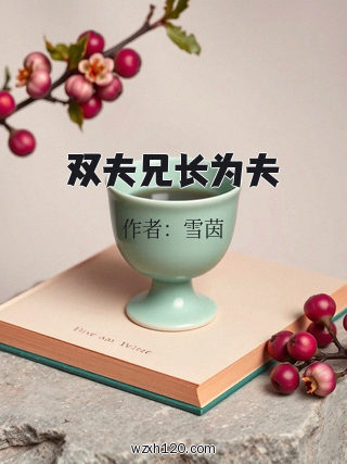 双夫兄长为夫