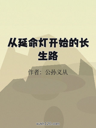 从延命灯开始的长生路