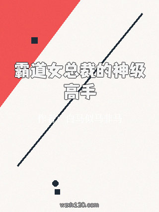 霸道女总裁的神级高手