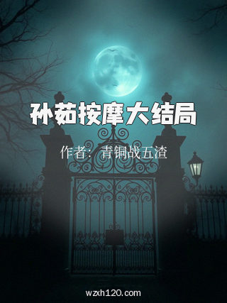 孙茹按摩大结局