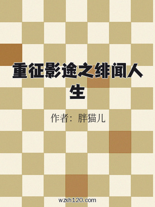 重征影途之绯闻人生