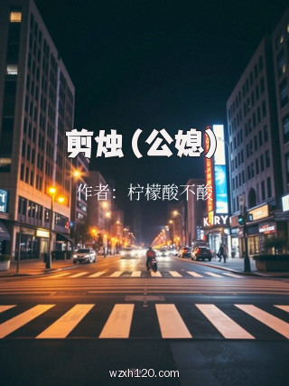 剪烛(公媳)