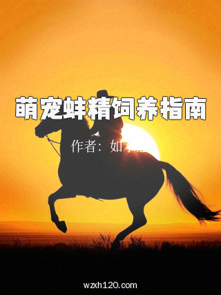 萌宠蚌精饲养指南