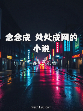 念念成歾处处成网的小说
