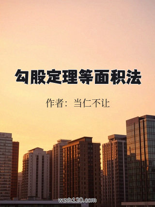 勾股定理等面积法