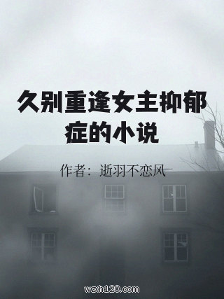 久别重逢女主抑郁症的小说