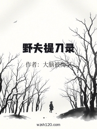 野夫提刀录