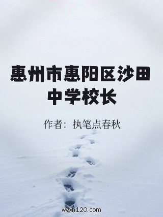 惠州市惠阳区沙田中学校长