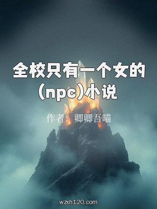 全校只有一个女的(npc)小说
