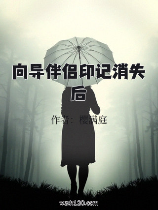 向导伴侣印记消失后
