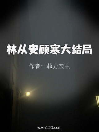 林从安顾寒大结局