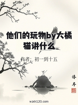 他们的玩物by大橘猫讲什么