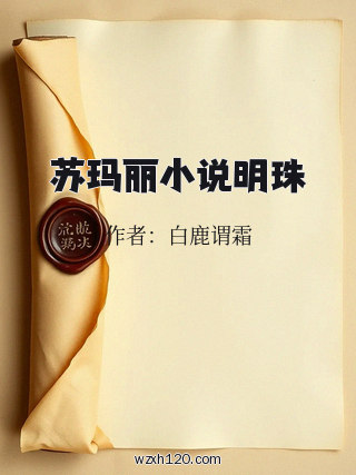苏玛丽小说明珠