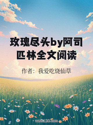 玫瑰尽头by阿司匹林全文阅读